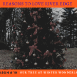 Reasons to Love River Edge - Tree at Winter Wonderland