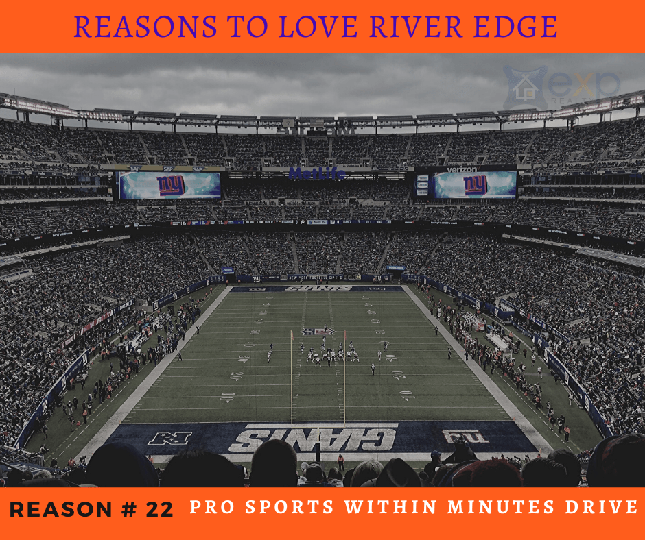 Reasons to Love River Edge - Pro Sports Nearby