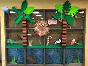 River Edge Library Summer Reading Program | www.Thisisriveredge.com