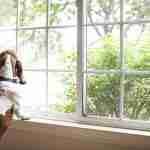 Is It Time To Move on to a New Bergen County Home?