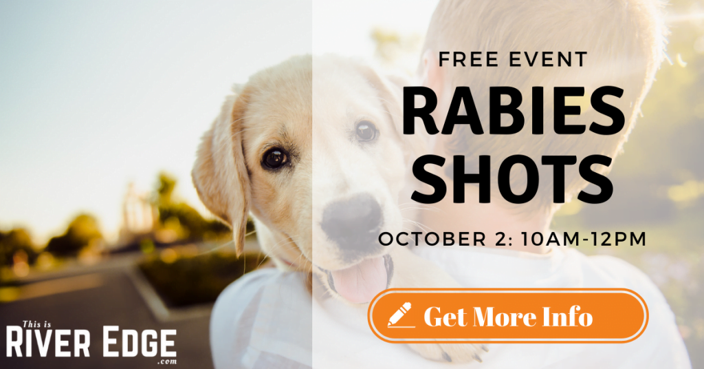 Rabies Shots