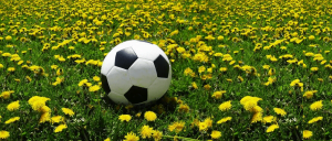 River Dell Blackhawks Soccer River Edge NJ www.thisisriveredge.com