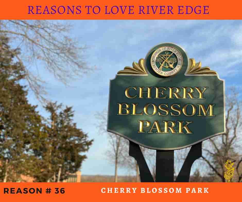Cherry Blossom Park River Edge NJ - www.thisisriveredge.com